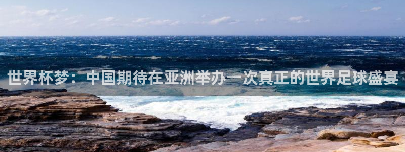 世界杯足球2026：世界杯梦：中国期待在亚洲举办一次真正的世界足球盛宴