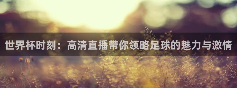 世界杯2026赛制：世界杯时刻：高清直播带你领略足球的魅力与激情