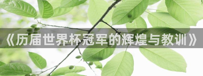 世界杯决赛预测：《历届世界杯冠军的辉煌与教训》
