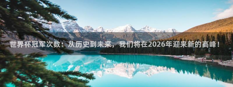 世界杯比赛直播：世界杯冠军次数：从历史到未来，我们将在2026年迎来新的高峰！