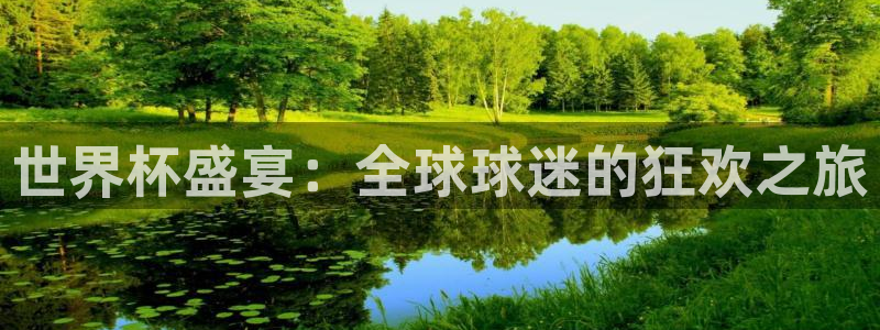 世界杯 2026：世界杯盛宴：全球球迷的狂欢之旅