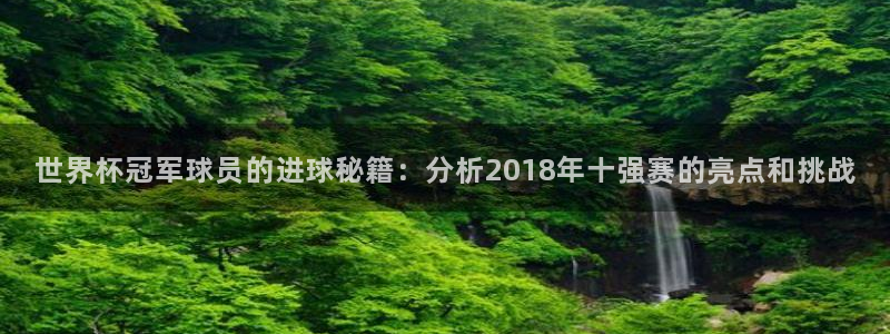 世界杯葡萄牙赛程：世界杯冠军球员的进球秘籍：分析2018年十强赛的亮点和挑战