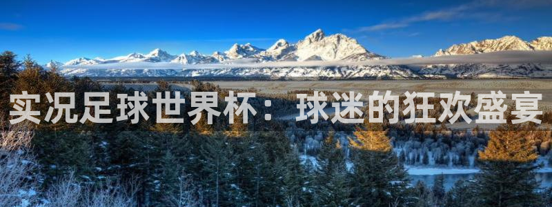 2026年足球世界杯赛程时间表：实况足球世界杯：球迷的狂欢盛宴