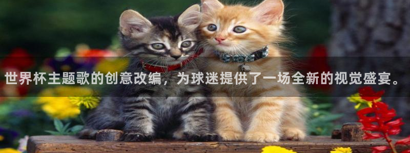 世界杯比赛时间：世界杯主题歌的创意改编，为球迷提供了一场全新的视觉盛宴。
