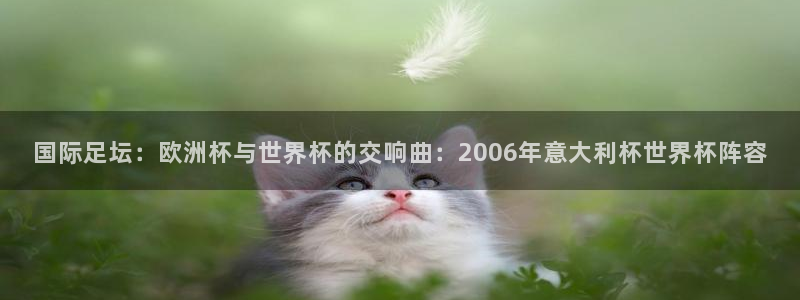 世界杯2026赛程时间表格：国际足坛：欧洲杯与世界杯的交响曲：2006年意大利杯世界杯阵容