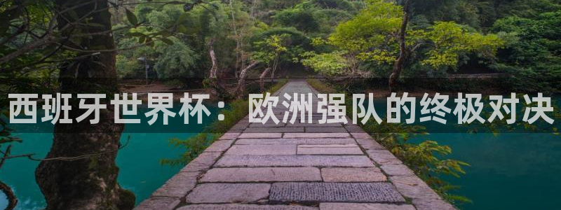 欧洲区世界杯预选赛：西班牙世界杯：欧洲强队的终极对决