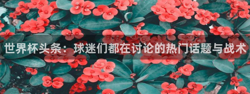 2026男足世界杯赛程：世界杯头条：球迷们都在讨论的热门话题与战术
