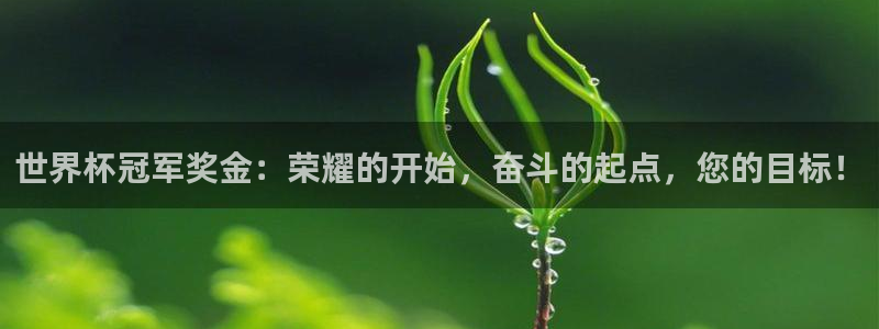 2026世界杯中国队：世界杯冠军奖金：荣耀的开始，奋斗的起点，您的目标！